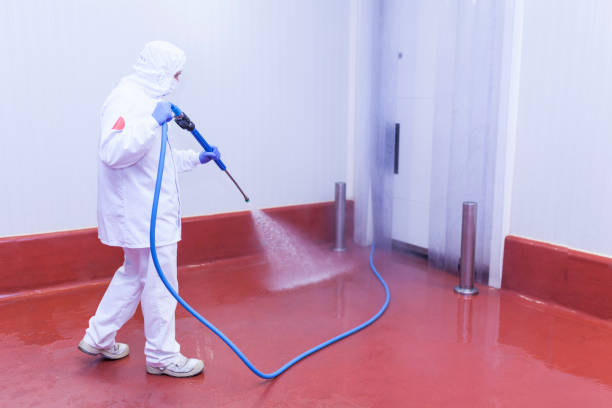 Best Fleet Vehicle Washing  in Oak View, CA