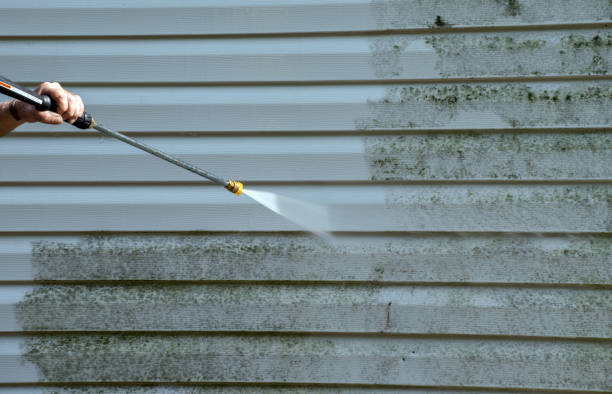 Oak View, CA Pressure Washing Services Company